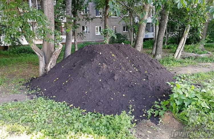 Влияние древесной золы на кислотность и структуру почвы