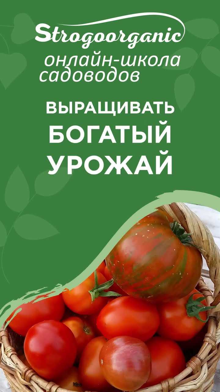 Система нисо для сада что это такое