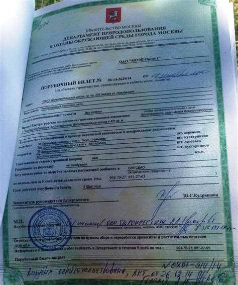 Факторы, влияющие на цену порубочного билета на одно дерево