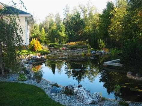 Стоимость обслуживания пруда после обустройства