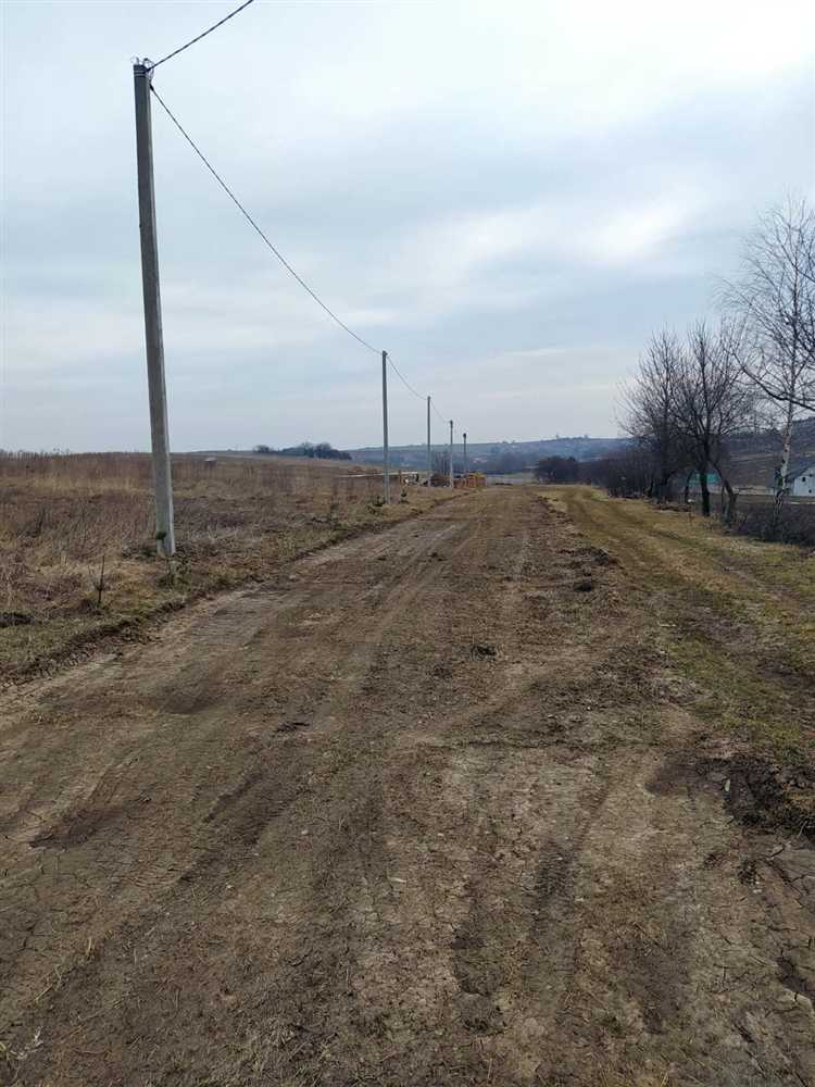 Цены на участки сельхозназначения и их динамика в 2025 году