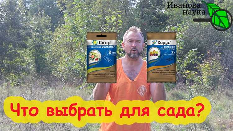 Совместимость с другими препаратами: можно ли смешивать Скор и Хорус