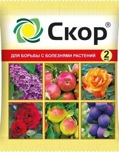Температурный диапазон действия: как Скор и Хорус работают при разной погоде