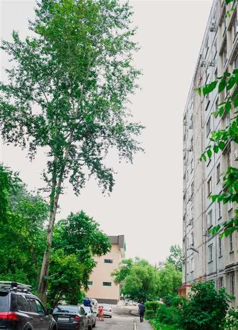 Что делать при отказе в спиле веток и возможные альтернативы