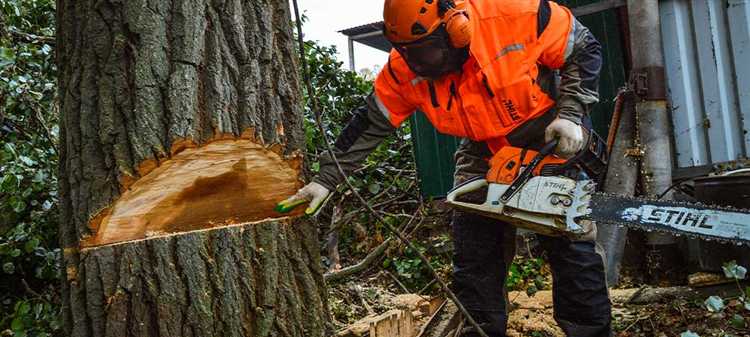 Требования безопасности при проведении спила веток около дома
