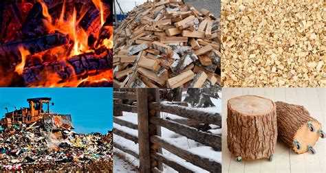 Сколько стоит спил веток и как получить предварительный расчет