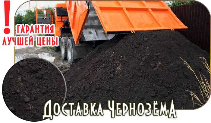 Устойчивость торфа и чернозема к вымыванию и эрозии