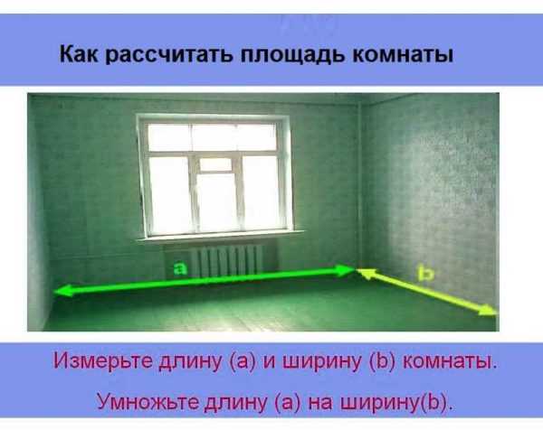 Выбор инструментов для точных замеров