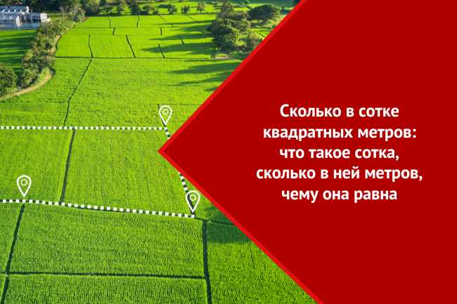 12 соток × 100 м² = 1200 м²