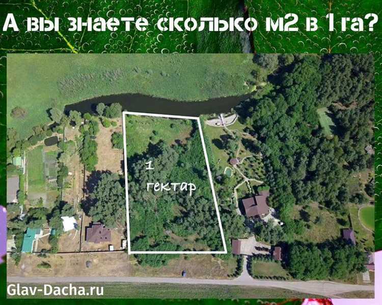 20 тысяч квадратных метров – это сколько площади