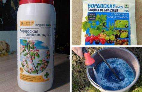 Абига-Пик или бордосская жидкость: что выбрать