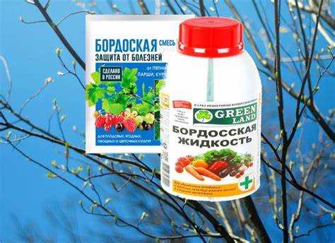 Что лучше хранится и проще готовится к применению