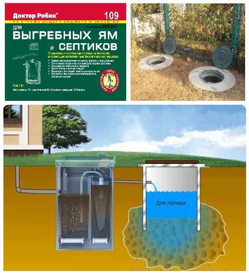 Роль анаэробных бактерий в разложении органики при отсутствии кислорода