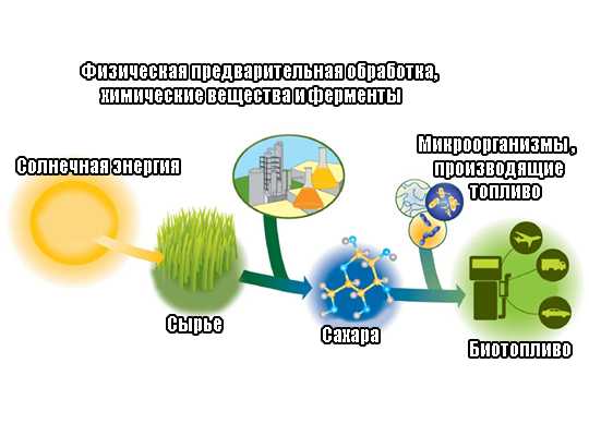 Влияние использования биотоплива на сокращение выбросов углекислого газа
