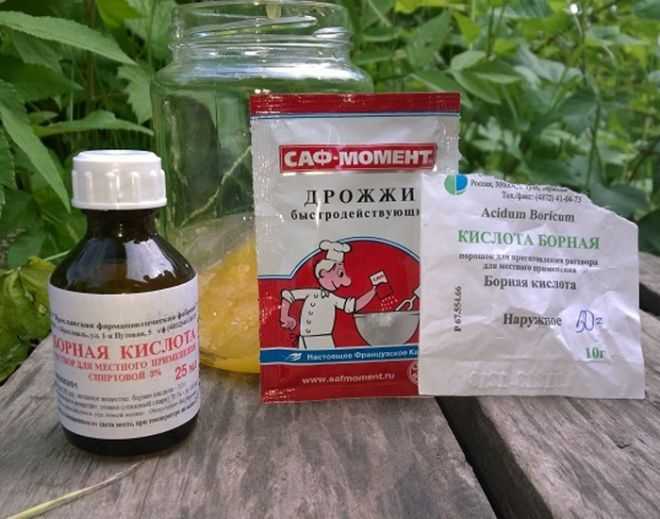 Методы использования буры и борной кислоты для борьбы с насекомыми