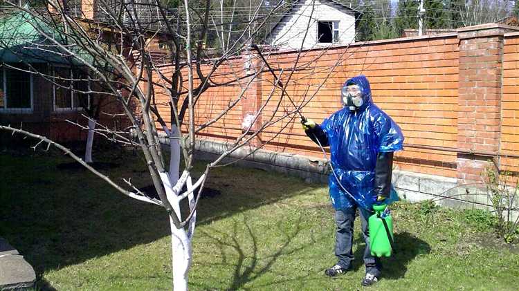 Профилактика яблоневых заболеваний с использованием медьсодержащих препаратов