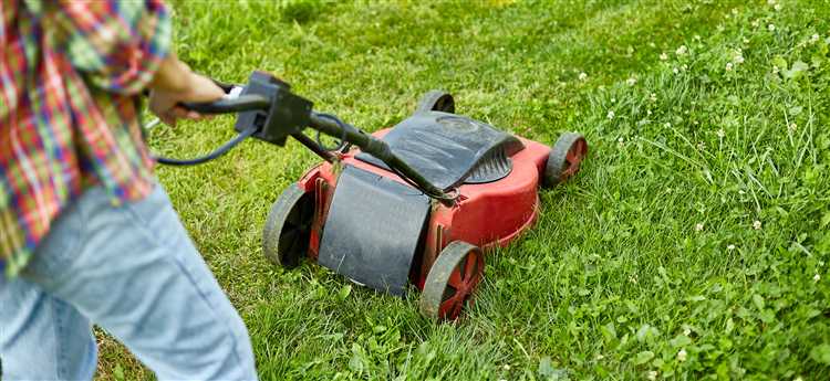 Объёмы травы и частота стрижки: подходящий инструмент