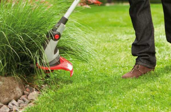 Когда триммер справится лучше: выбор по типу участка