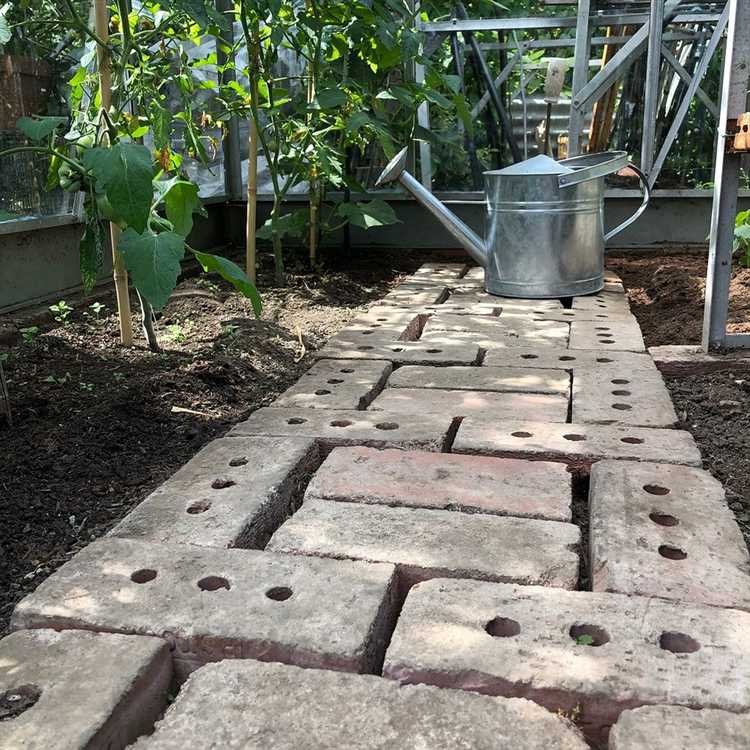 Чем закрыть дорожки в теплице от сорняков Чем закрыть дорожки в теплице от сорняков