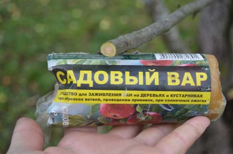 Как выбрать антисептик для уже начавшего гнить дерева