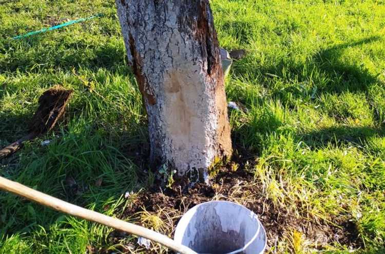 Однако без удаления поражённого слоя сохраняется риск дальнейшего распространения гнили внутри материала, что со временем приведёт к структурным повреждениям. Для долгосрочной защиты рекомендуется комбинировать обработку с механическим удалением видимых участков гнили.