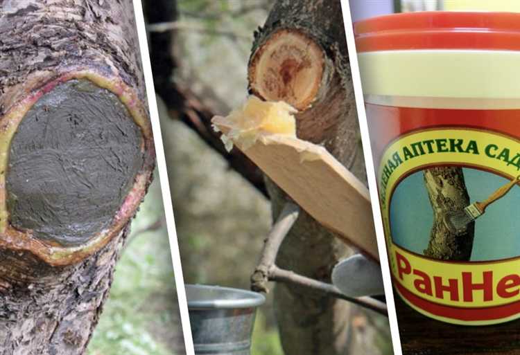 Чем обработать торцы древесины для защиты от влаги