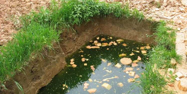 Подходит ли биотуалет для семьи с детьми на даче