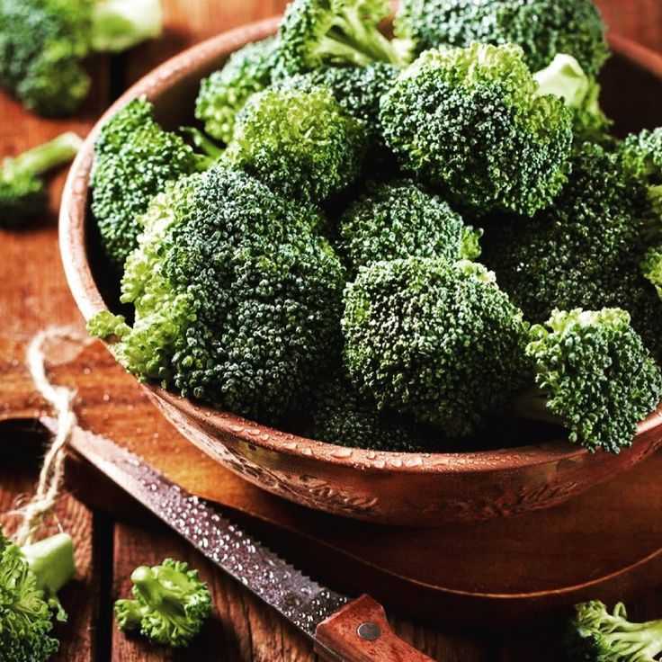 Внешние особенности деревьев, напоминающих брокколи