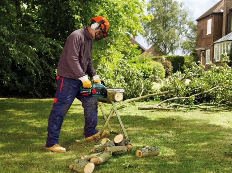Для работы с какой пилой может потребоваться помощь друга