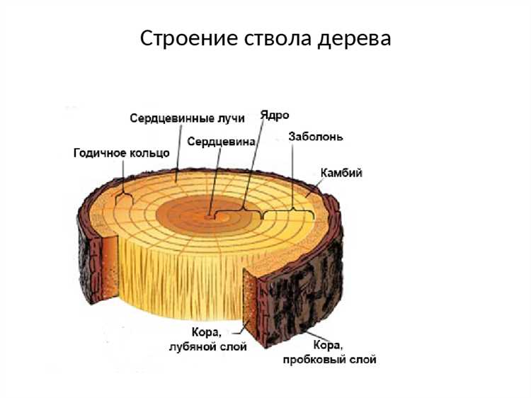 Правила хранения и подготовки древесины перед монтажом