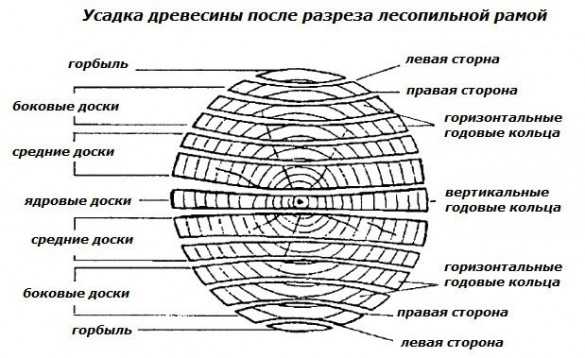 Методы защиты древесины от насекомых и биологических повреждений