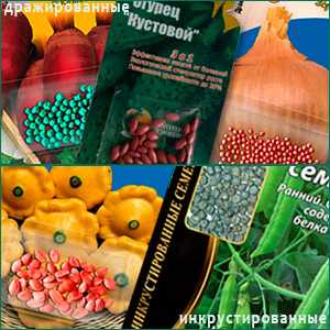 Какие характеристики семян следует учитывать при анализе отзывов