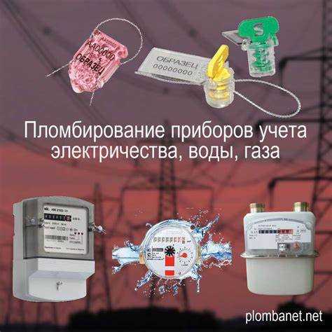 Роль пломбы в защите от несанкционированного вмешательства