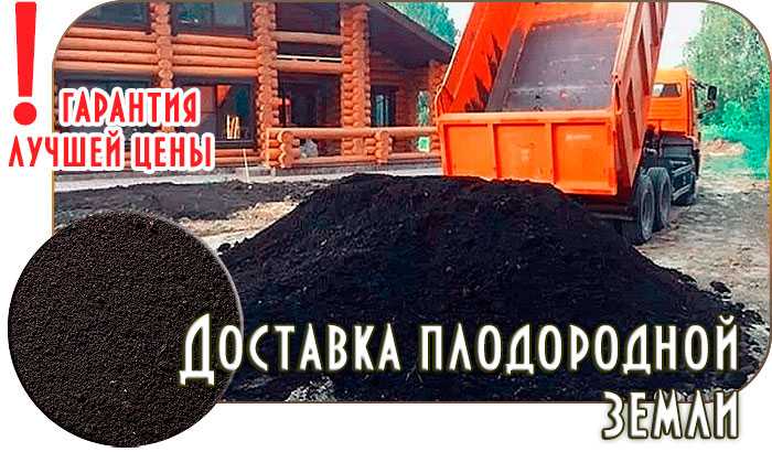 Как выбрать надежного поставщика плодородной земли