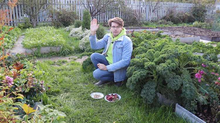 Условия и способы хранения клубнелуковиц до следующей посадки