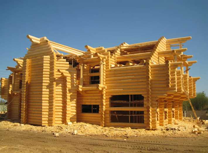 Обработка антисептиками и огнебиозащита: какие составы использовать