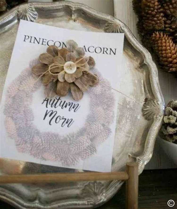 Хранение шишек и подготовка к повторному использованию