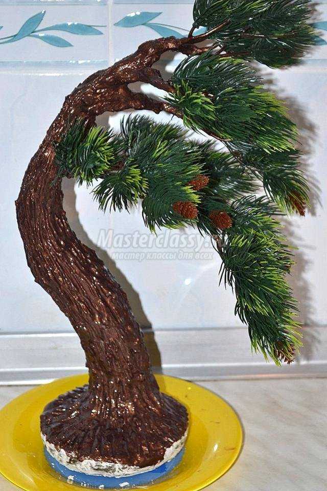 Подготовка почвы и контейнера для выращивания сосны в стиле бонсай