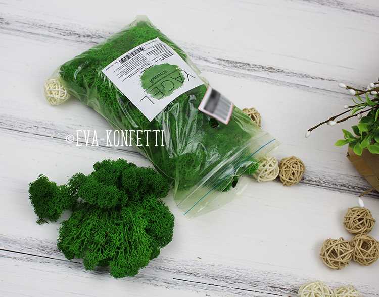 Какие клеевые составы подходят для стабилизированного мха