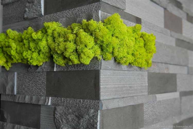 Инструменты и материалы, необходимые для работы