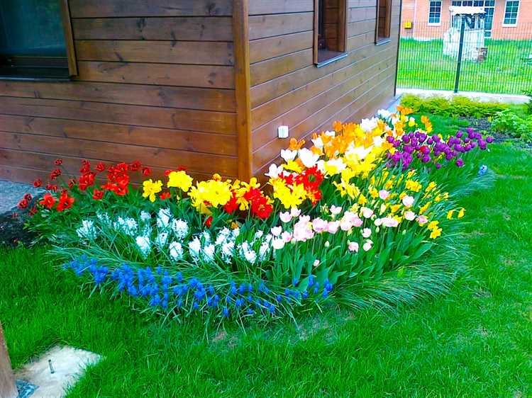 Создание клумбы в виде орнамента или геометрической фигуры