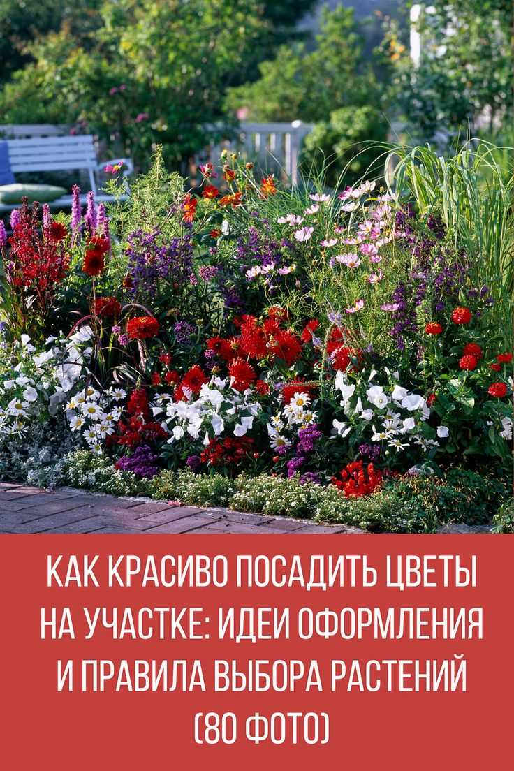 Посадка цветов у забора для декоративного оформления границ