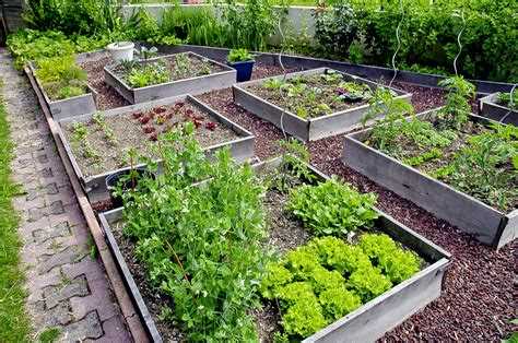 Как красиво посадить цветы на участке