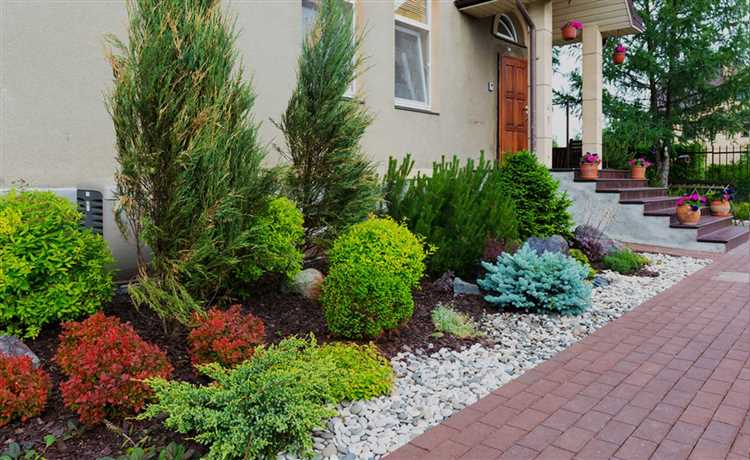 Выбор ориентации рядов туй по сторонам света