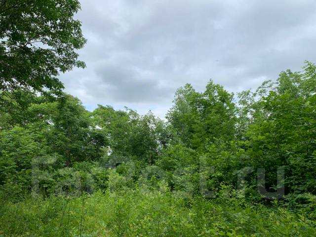 Как зарегистрировать права на участок и зафиксировать отсутствие соседей