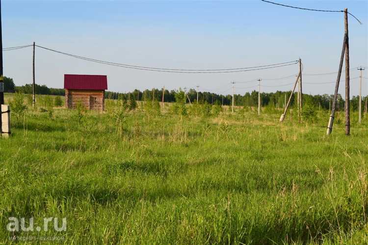 Какие государственные органы ответственны за продажу лесных участков