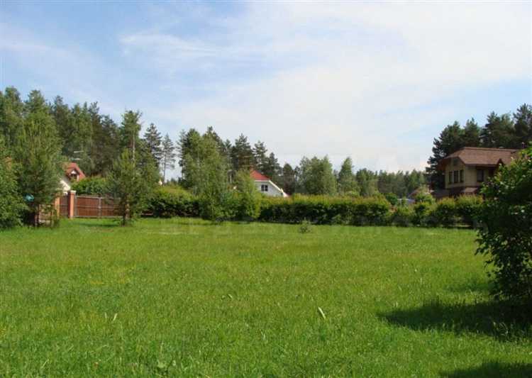 Как купить участок в лесу без соседей у государства Как купить участок в лесу без соседей у государства