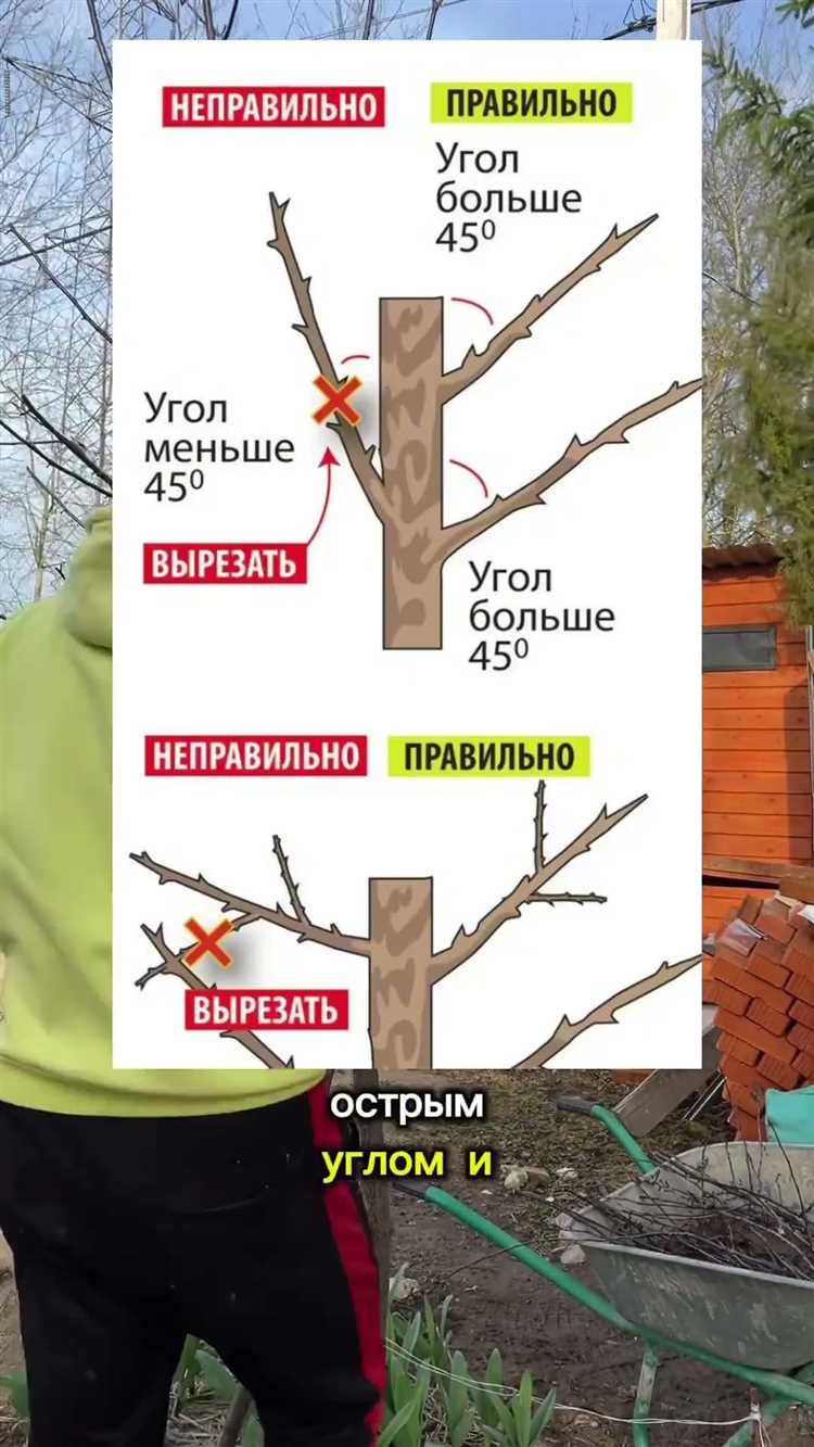 Как легче расколоть деревянную заготовку