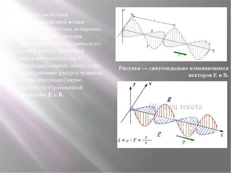 Как наименование влияет на понимание физических процессов в учебных и научных текстах