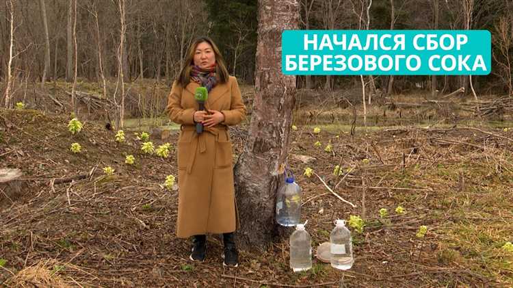 Способы хранения собранного березового сока в устройстве